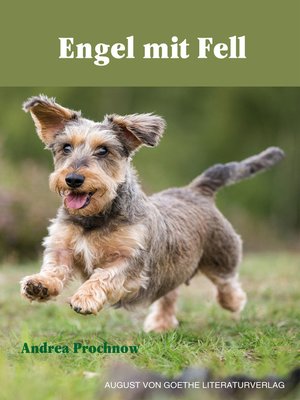 cover image of Engel mit Fell